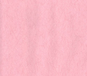 Обои Grandeco Velvet (VT-03-15-9) виниловые на флизе  