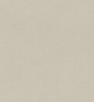 Обои Rasch Crispy Paper 527018