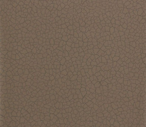 Обои Zoffany Oblique 312836